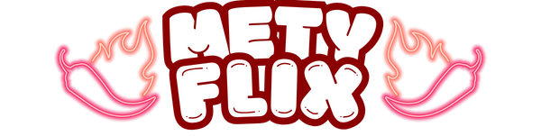 logo metyflix